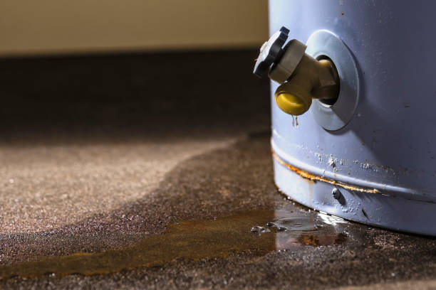 Best Water damage restoration near me  in Wahneta, FL