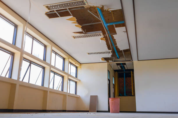 Best Mold removal after water damage  in Wahneta, FL