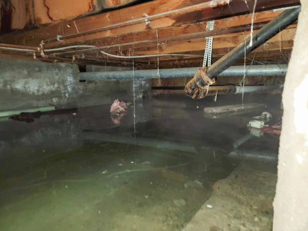 Best Commercial water damage restoration  in Wahneta, FL