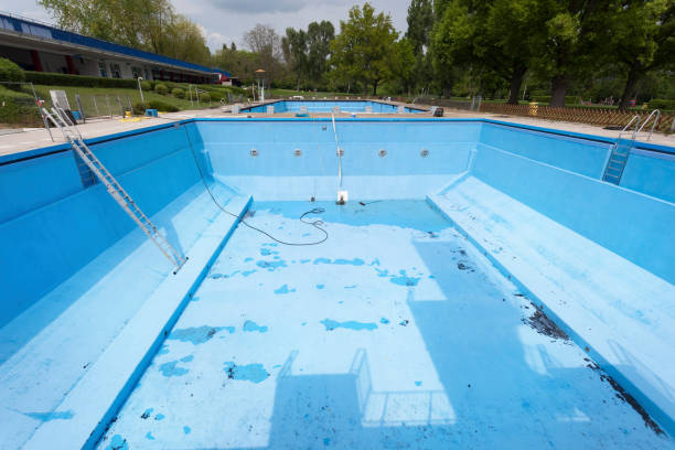 Best Water damage contractors near me  in Wahneta, FL