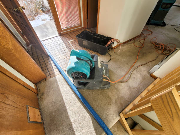 Best Flooded house restoration  in Wahneta, FL