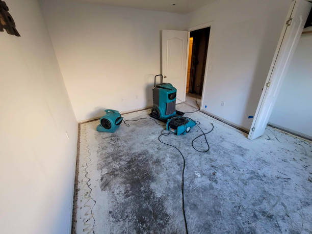 Best Flood damage cleanup  in Wahneta, FL