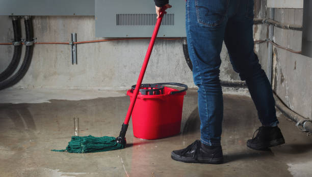 Best Carpet water damage restoration  in Wahneta, FL