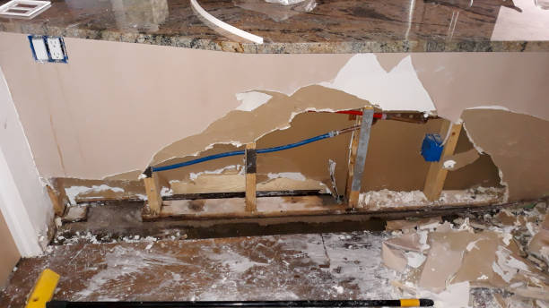 Water damage restoration mold remediation in Wahneta, FL