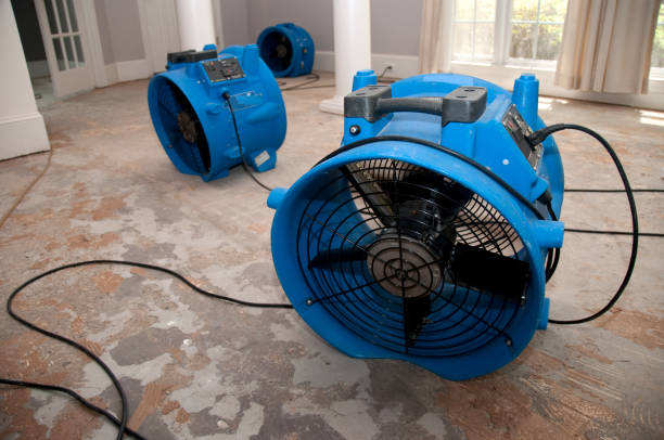 Best Local water damage restoration  in Wahneta, FL