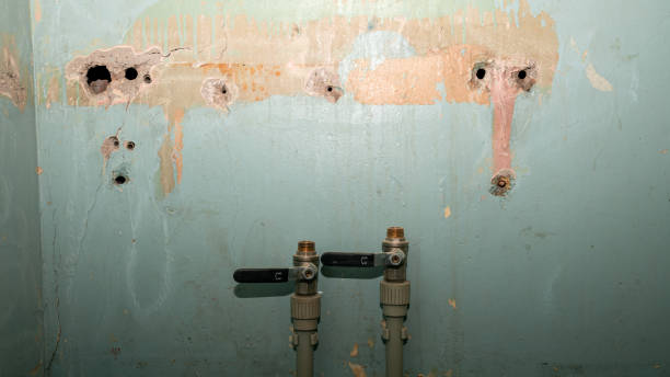 Best Water damage repair service  in Wahneta, FL