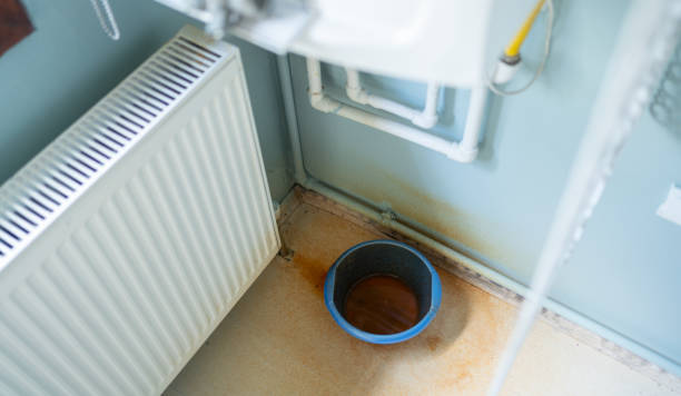 Best Water damage restoration process  in Wahneta, FL