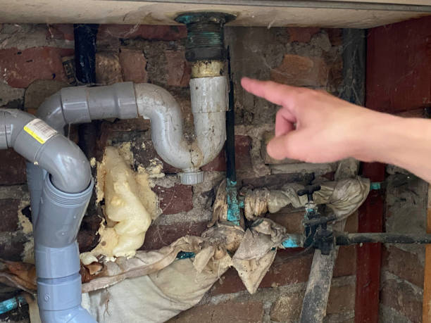 Best Fire Damage Restoration  in Wahneta, FL