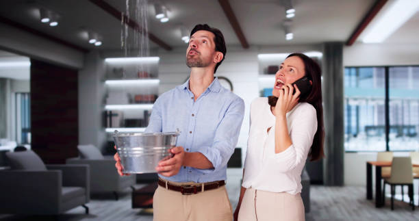Best Water damage restoration mold remediation  in Wahneta, FL
