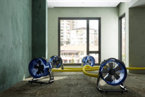 Local water damage restoration in Wahneta, FL